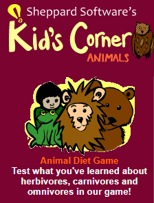 Kids Corner 